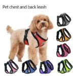 Pet Activewear